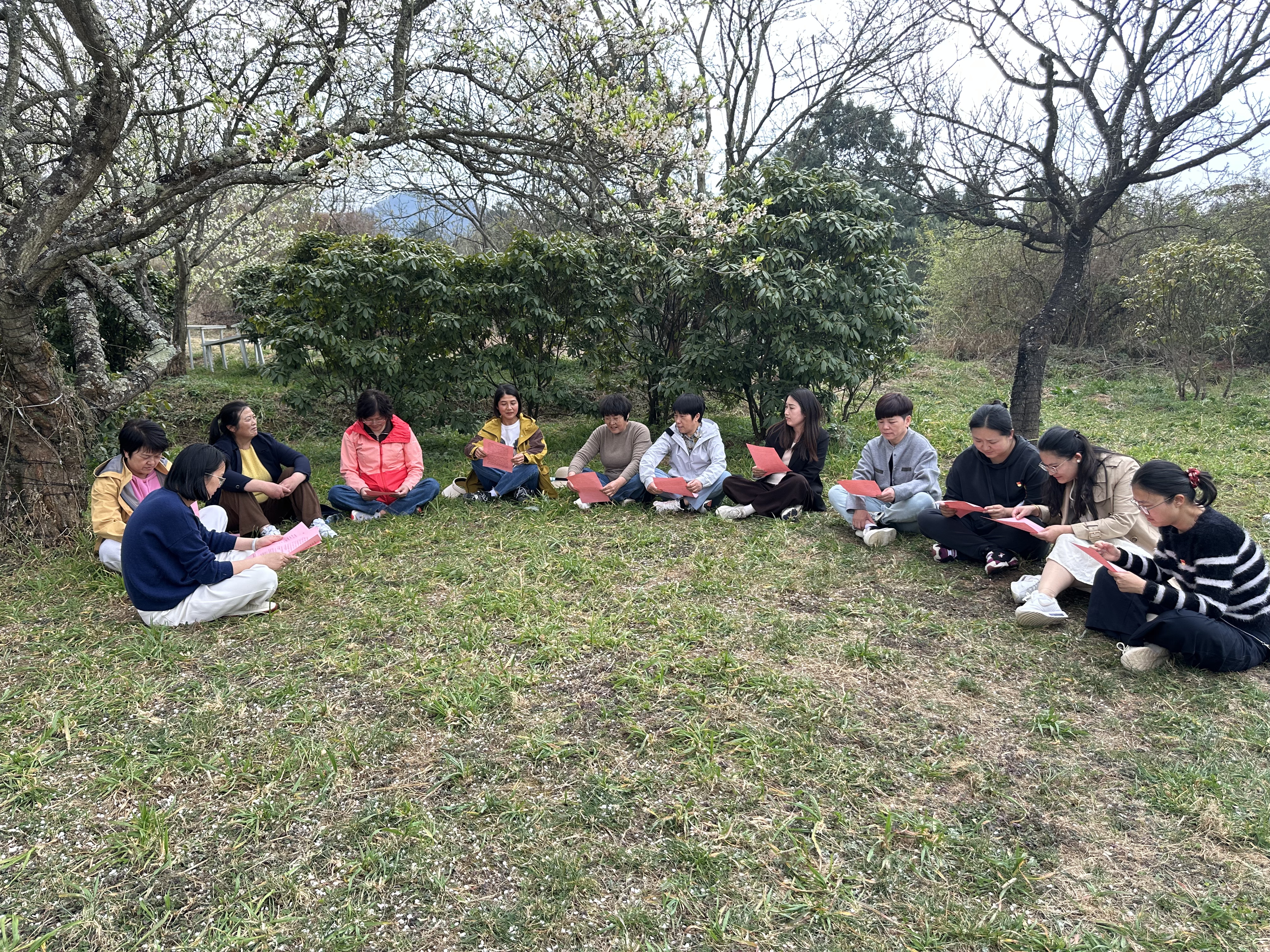 1774338696755859.jpg 微信圖片_20260309133610_209_153.jpg